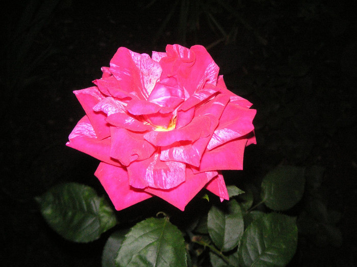 2801315210075666569eIexPS_fs