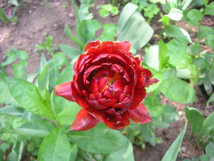 2805393350075666569KVTBMU_fs