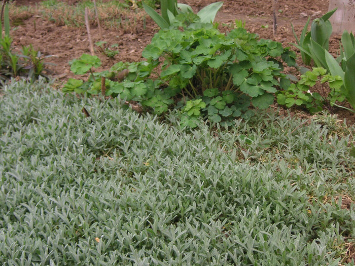 2807416870075666569HzHxQq_fs