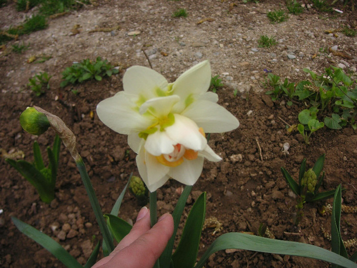 2815501090075666569AqMcMt_fs