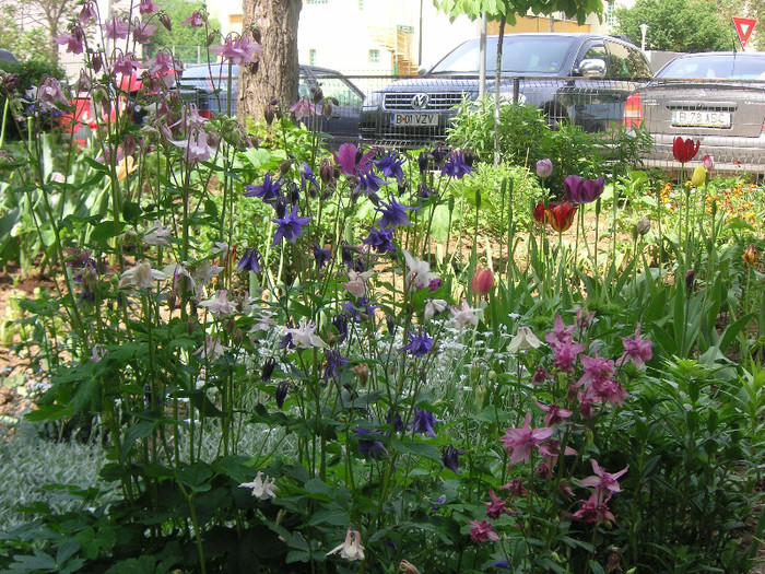 2819194860075666569nVGKbw_fs