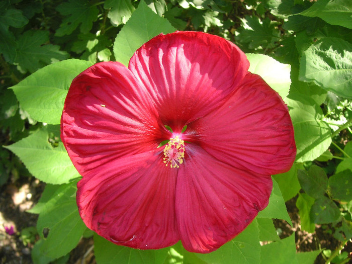 2821497700075666569hNdOIn_fs