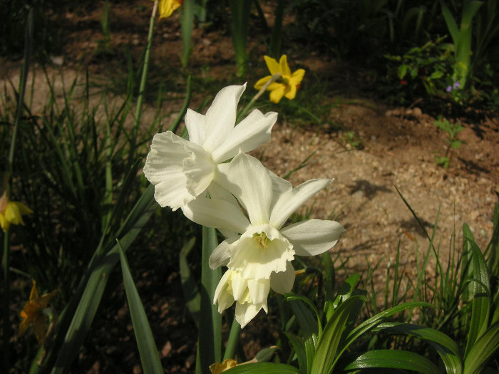 2828233850075666569SIyaWb_fs