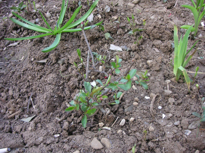 2851727750075666569HgtrmQ_fs