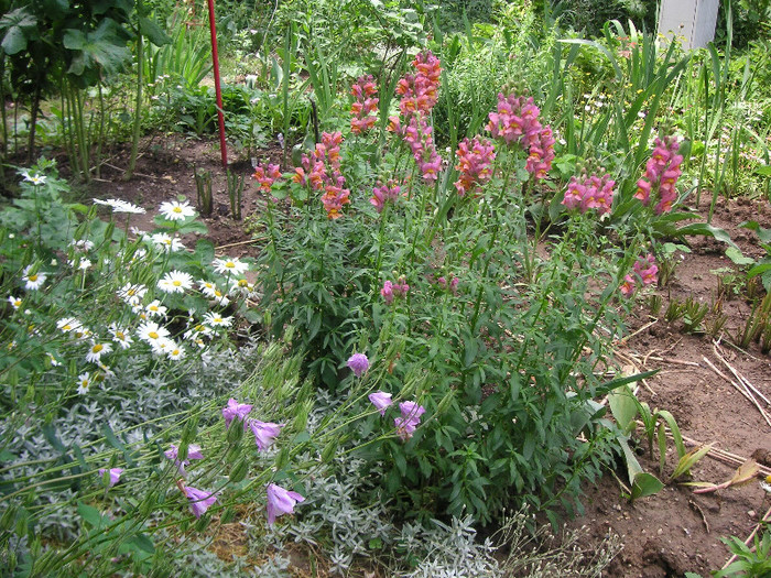 2857403720075666569GVeExT_fs