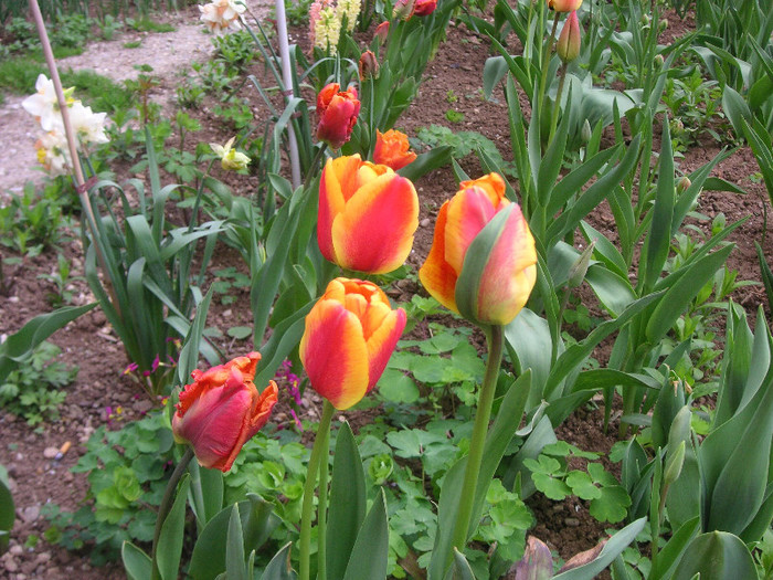 2857974360075666569kJkcSK_fs