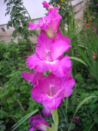 2858225830075666569rrFjze_fs