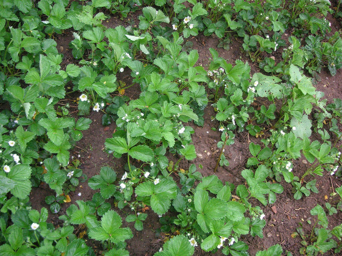 2859103580075666569JeWrGa_fs