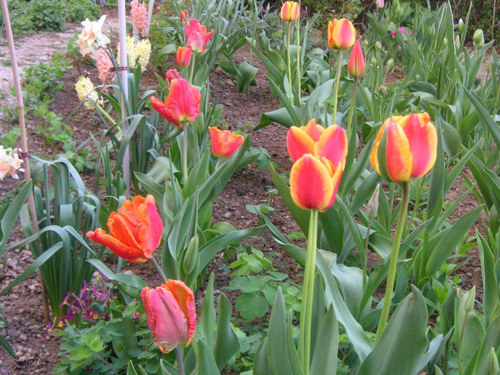 2859857420075666569CQDywJ_fs