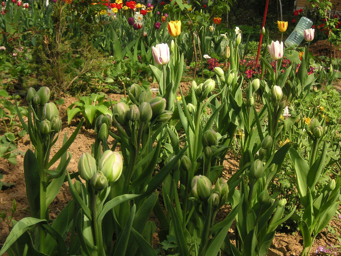 2861900440075666569AOkVWU_fs