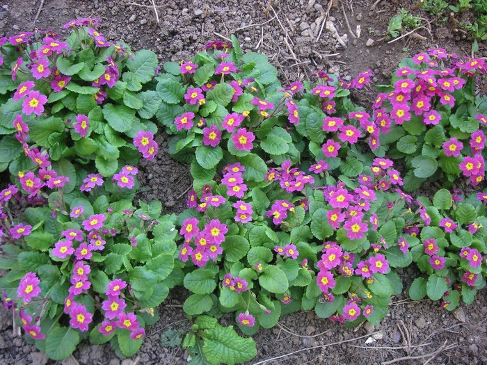 2878761950075666569ZuVqpZ_fs