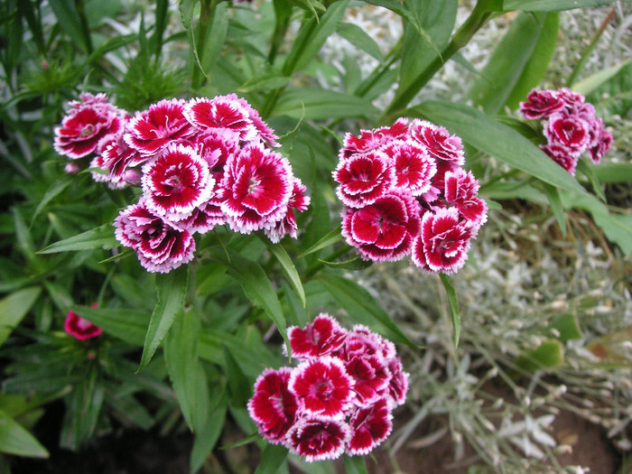 2882013660075666569AJzyKr_fs