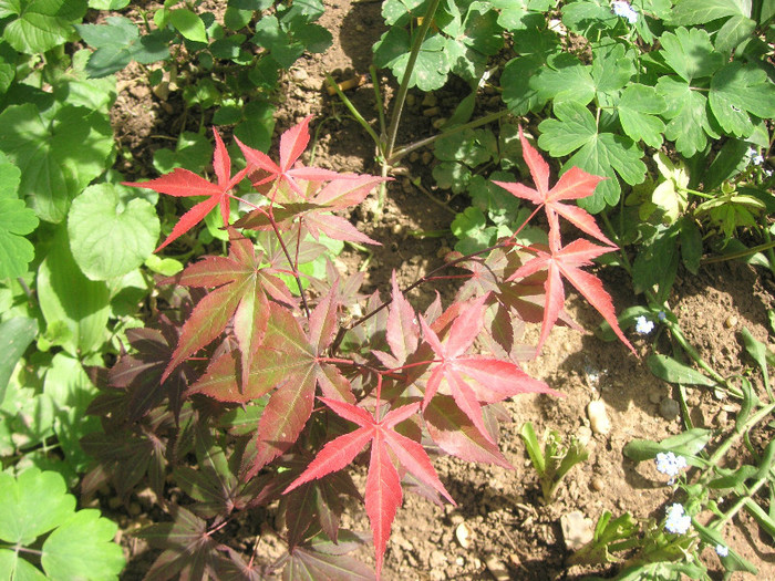 2885633140075666569MwLEoq_fs