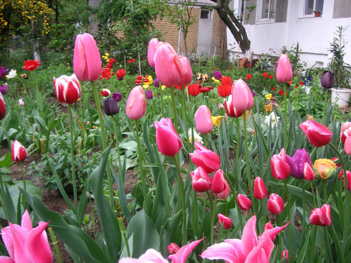 2889522040075666569wpGBJY_fs