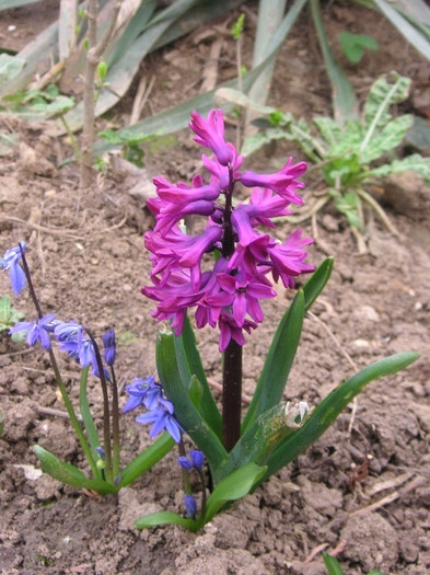 2890208960075666569IBuzPU_fs