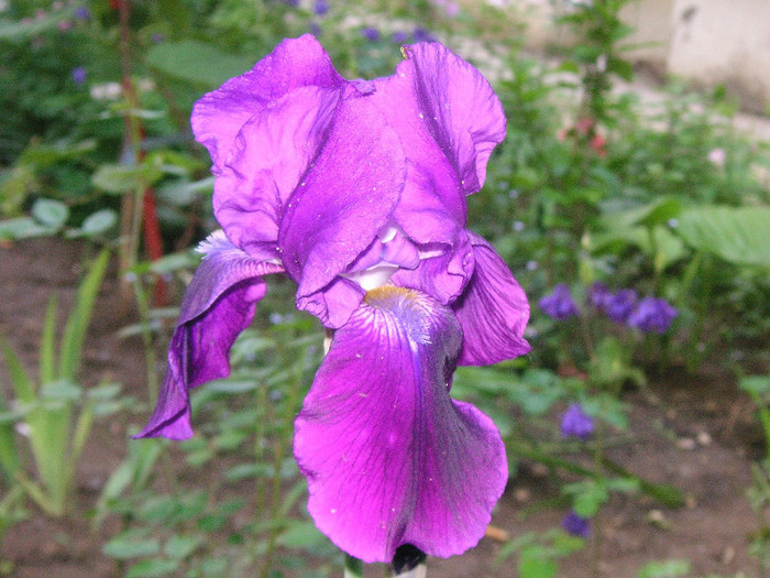 2900031300075666569NGCMTR_fs