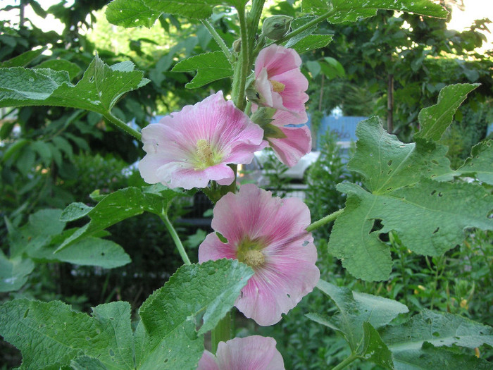 2904456170075666569XZErtF_fs