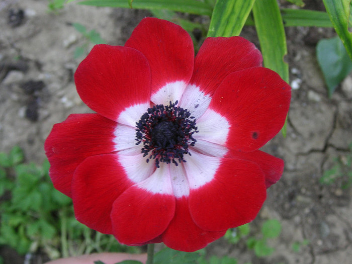 2908839620075666569Gfqkpf_fs