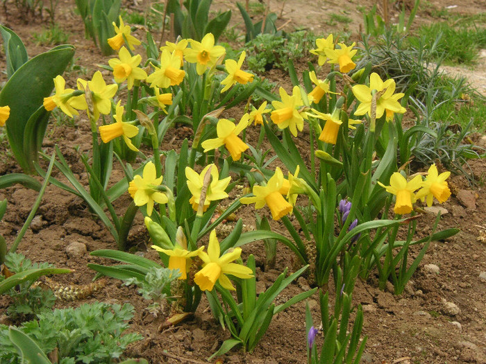 2909570860075666569OsZyUn_fs