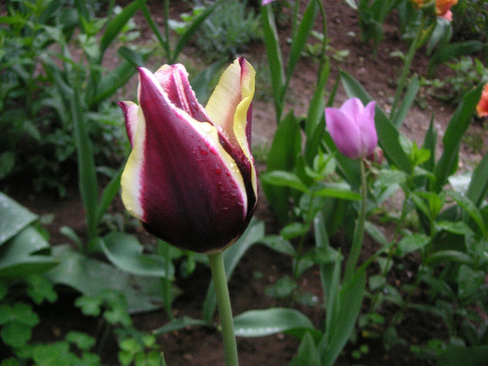 2911414350075666569nOtQfV_fs