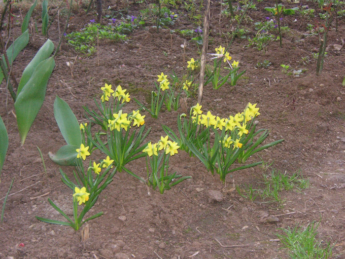 2928307730075666569WBVWfj_fs