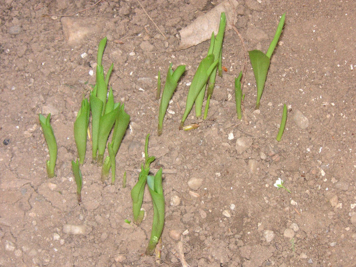 2942670600075666569KZIjjE_fs