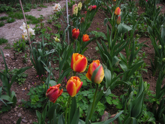 2947991080075666569AGIGzp_fs