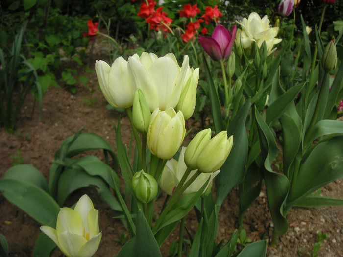 2993603090075666569yeuaAy_fs