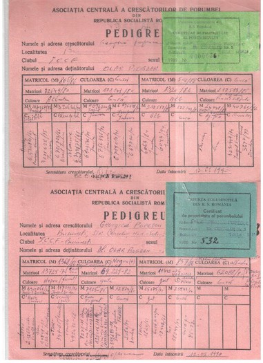 656,532-89 GEORGICA POPESCU - pedigreele unor porumbei achizitionati