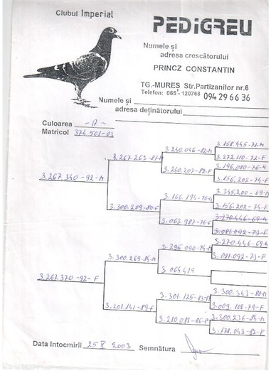 374501-03 PRINCZ - pedigreele unor porumbei achizitionati