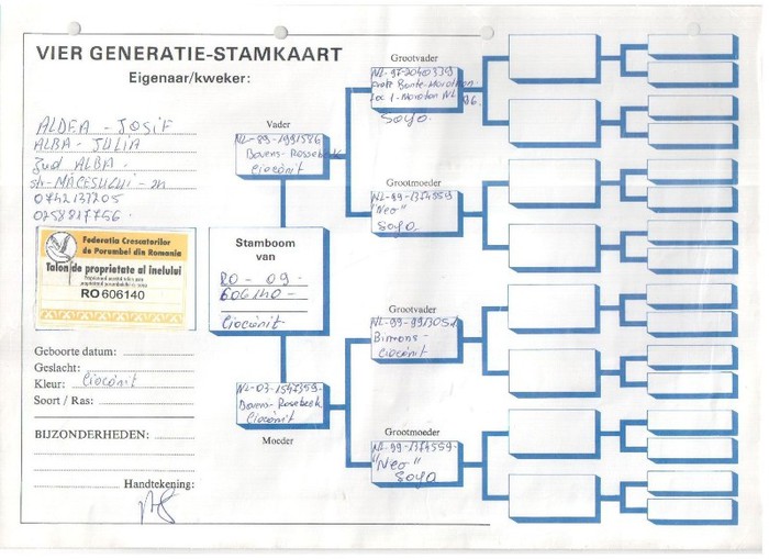 606140-09 ALDEA IOSIF - pedigreele unor porumbei achizitionati