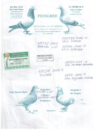 0505091-11 SILVIU SPIRIDON - pedigreele unor porumbei achizitionati