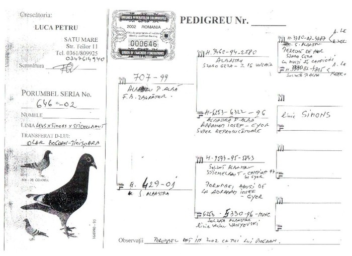 646-02 LUCA PETRU - pedigreele unor porumbei achizitionati
