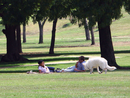normal_22 - Relaxing in the Park in Toluca Lake 2010