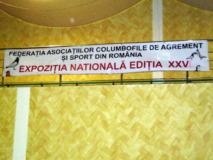 IMG_0016-001 - EXPO Nat    Tg MURES 2012