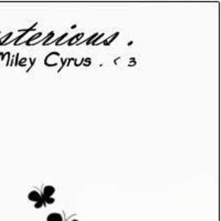 puzzle (24)