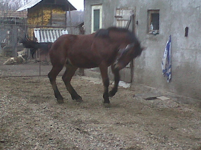 IMG00475-20121126-1142