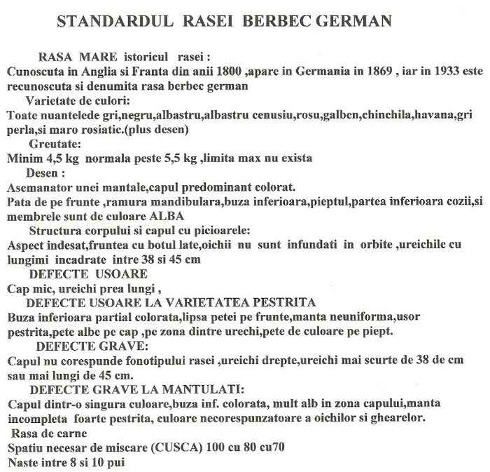 STANDARD BERBEC GERMAN - a BERBEC GERMAN STRANDARD