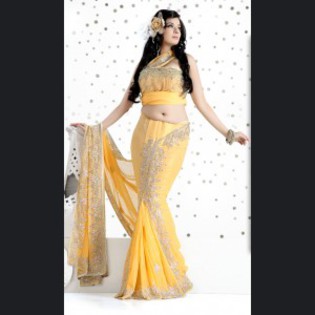  - sari indian