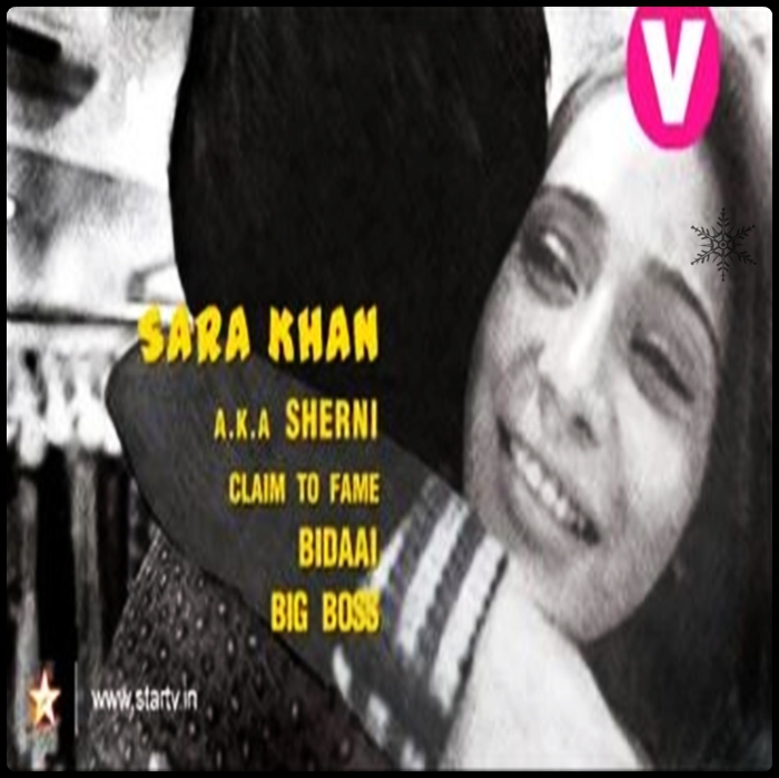 53-052 - sara khan21