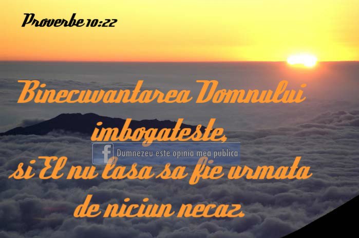 8802_446243545442878_368515288_n - PENTRU MINE SI TINE