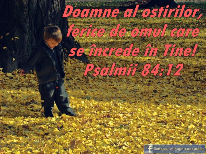 12701_445480852185814_2089914816_n