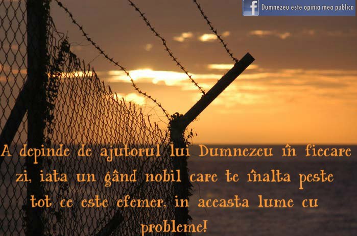 21724_446632772070622_582950279_n - PENTRU MINE SI TINE