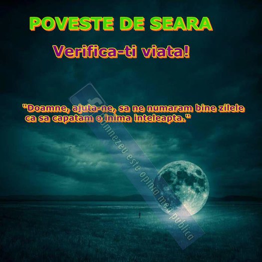 27917_445272885539944_2069408478_n