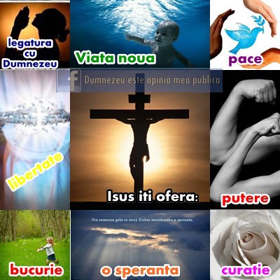 29799_445772948823271_630682719_n