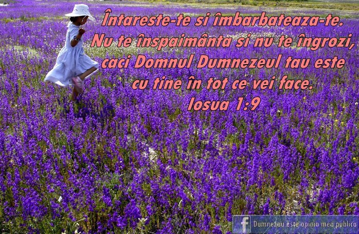 188505_446586948741871_1050226070_n