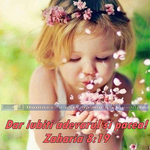 189615_445517205515512_684359160_n