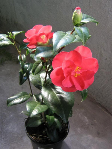 2569882360075666569WyTOsb_ph