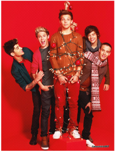 one-direction-New-Christmas-photoshoot-2012-one-direction-32780463-1227-1600 - Christmas-1D