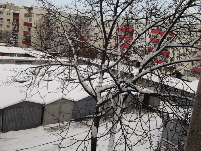 decembrie 2012 - iarna la cluj